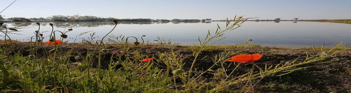 La Gilardona di Marinone Massimo & C.