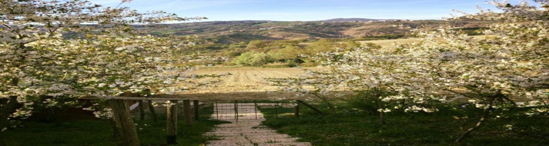 Azienda Agricola Giardi Gian Luca