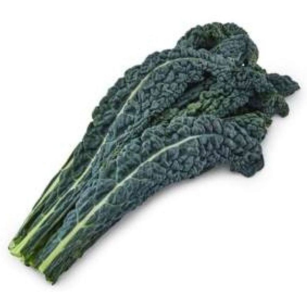 Cavolo Nero