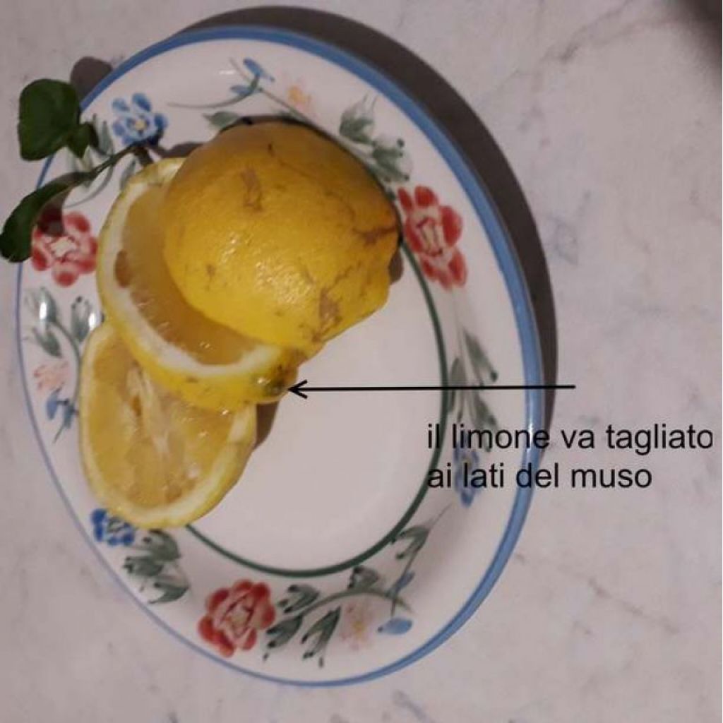 Limoni var. Interdonato - 2 Kg, porzione di cassa da 14, da dividere alla consegna