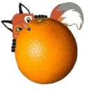 Arance Coda di Volpe