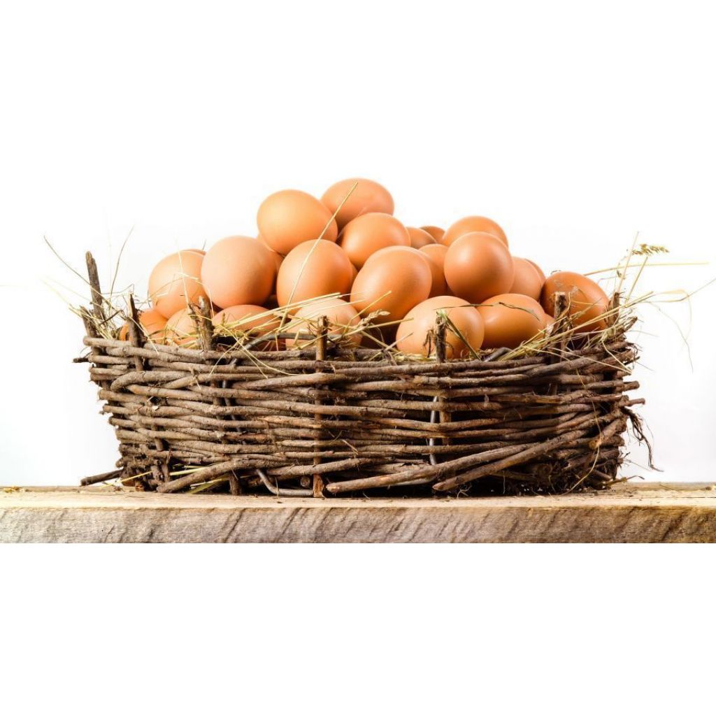 UOVA le Gustose - Confezione da 12