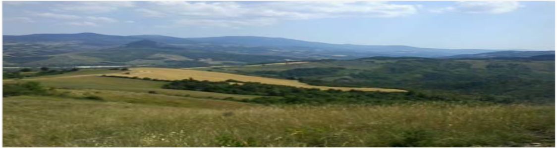 Azienda agricola Sbaraglia Matteo