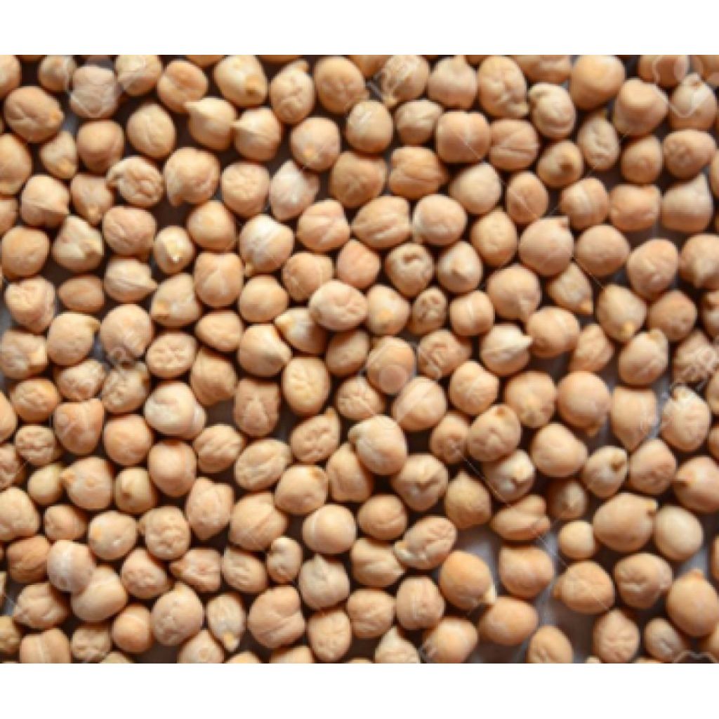 Ceci biologici 1/2 Kg