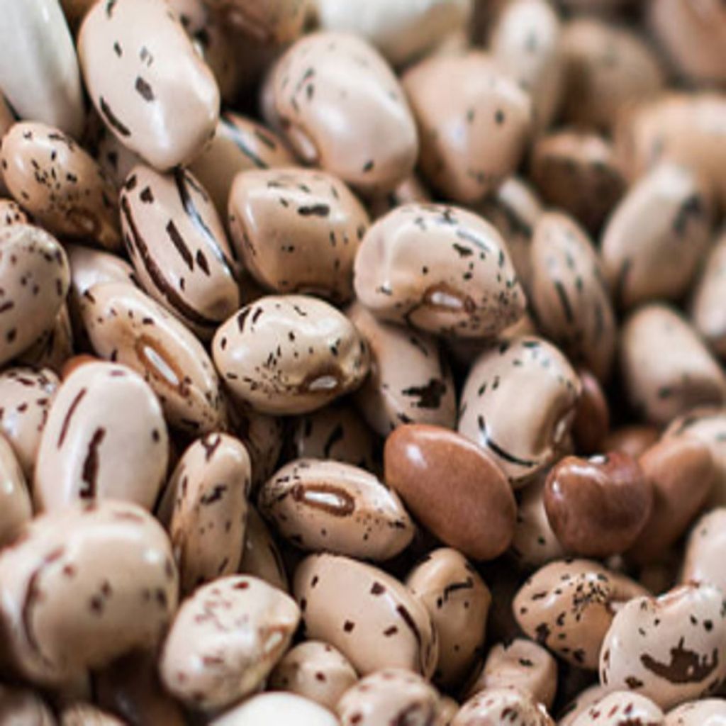 Fagioli Borlotti Biologici 1/2Kg