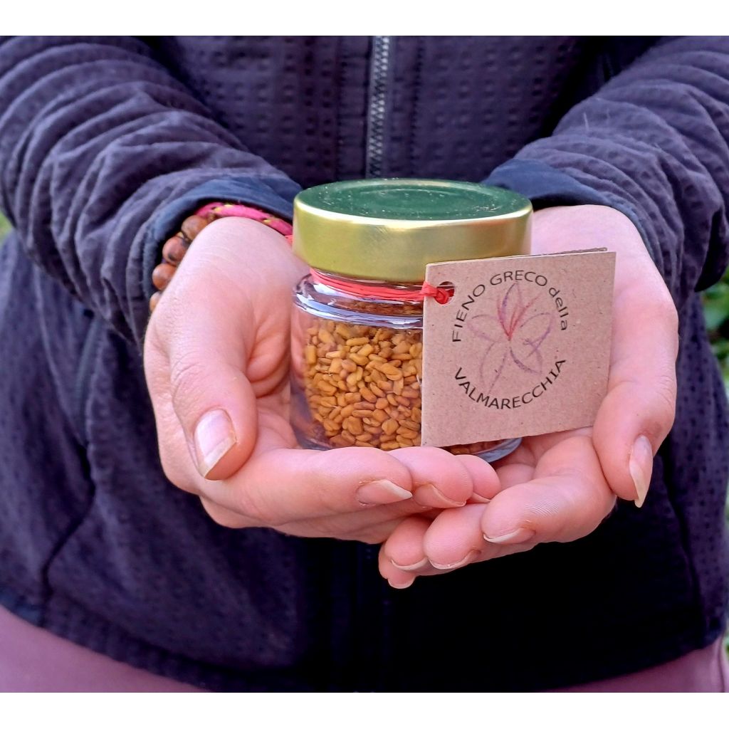 Fieno Greco - semi 50 g