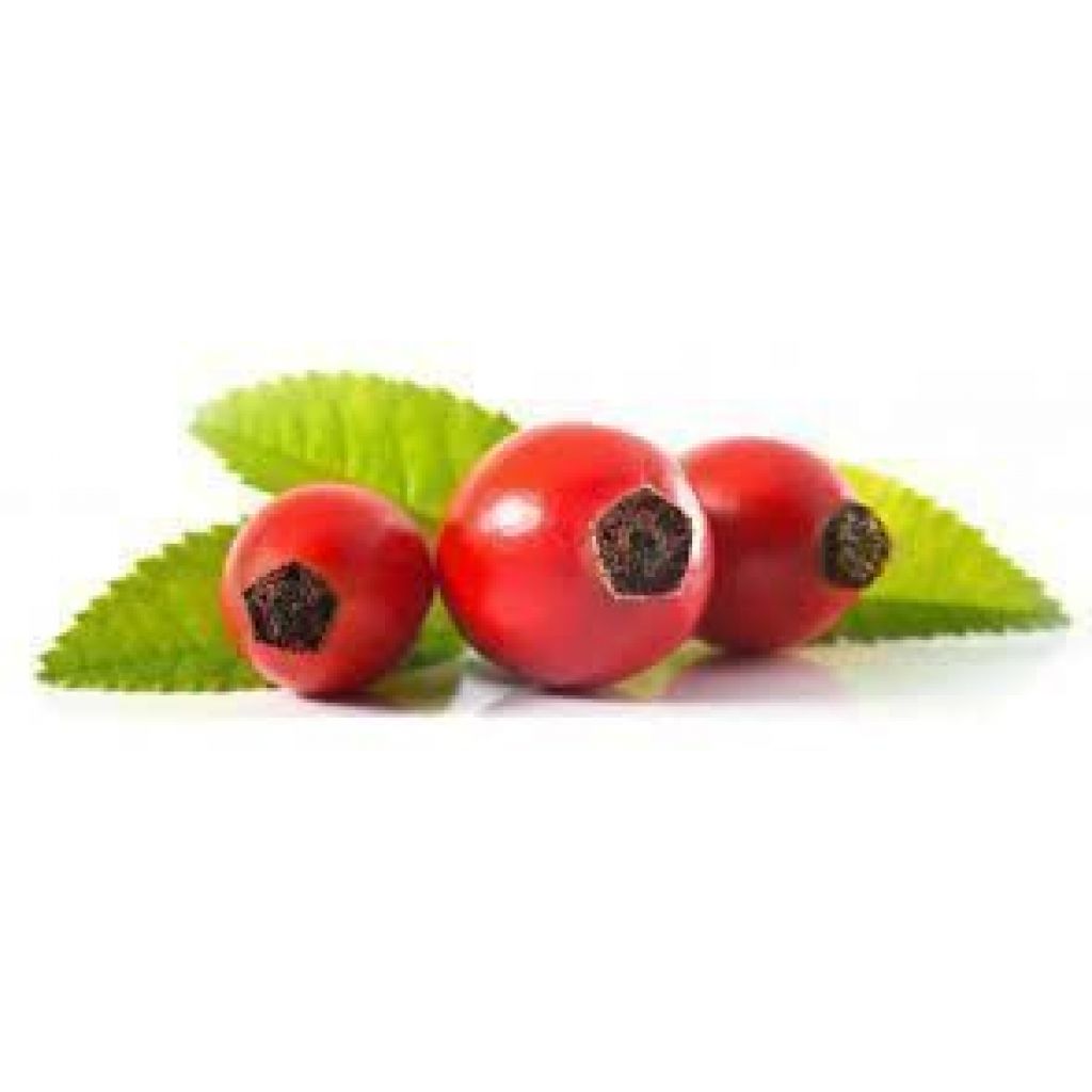 Nettare da 500 ml Rosa Canina