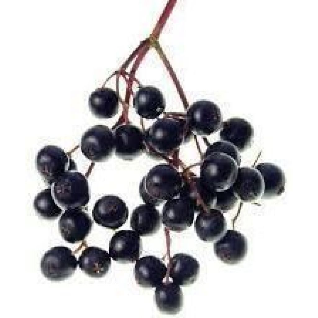 Succo di Sanbuco da 200 ml (Puro Sanbuco 100%)