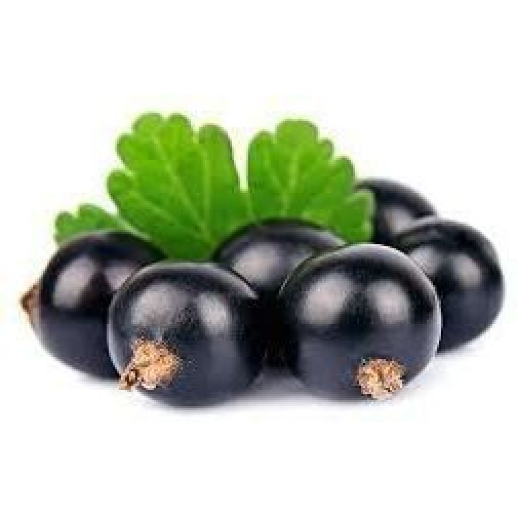 Nettare da 700 ml Riber Nero