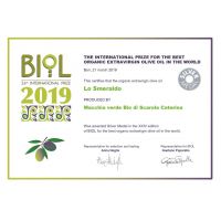 attestato biol 2019  silver medal_page0001