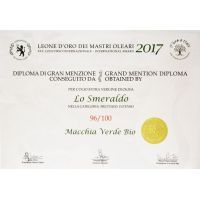 leone d'oro menzione speciale oro (2)