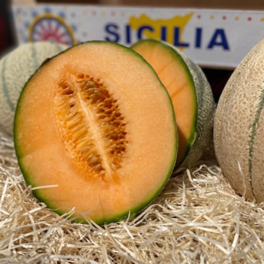 Melone retato 1 frutto