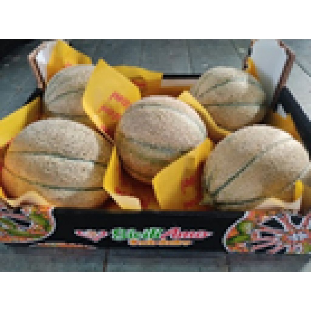 Melone retato in cassa di cartone 30x40