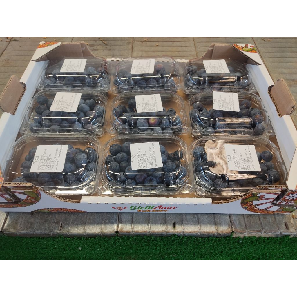 Mirtilli Siciliani in cassa di cartone 30x40 da 9 pezzi