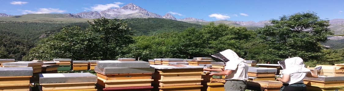 Azienda Agricola Biologica Biodinamica Marco Chiri