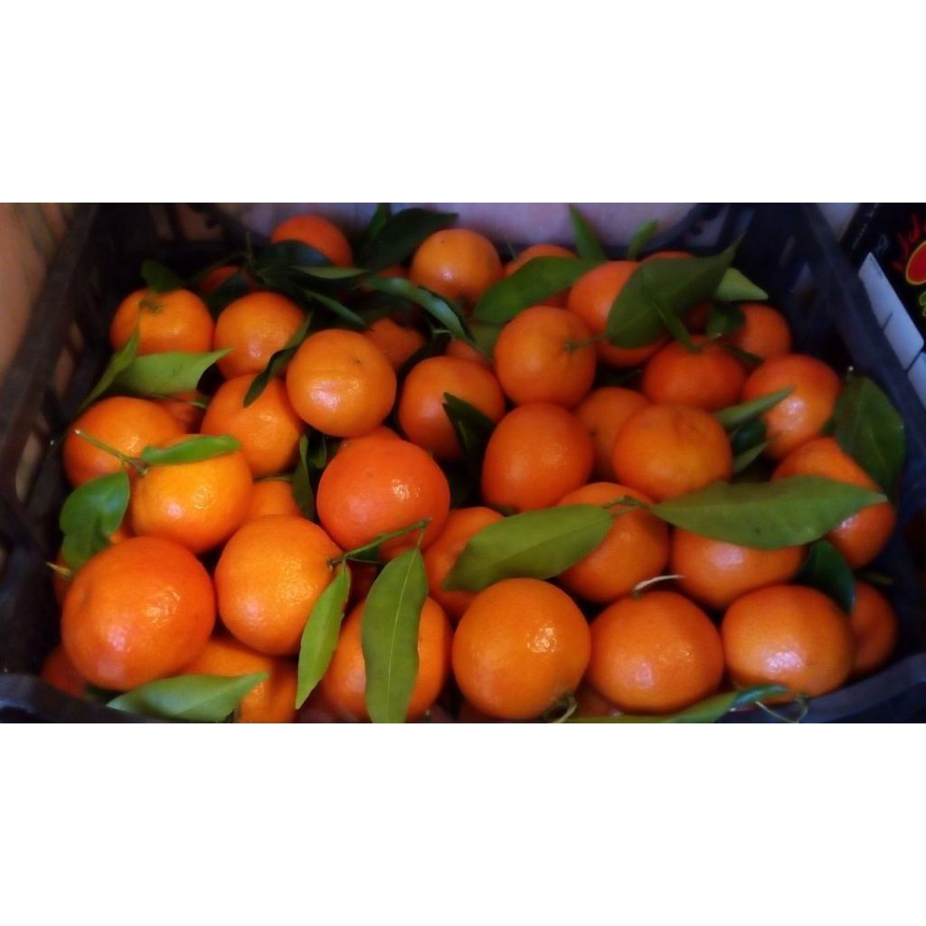 Cassetta di Clementine - Garantiti buccia edibile - 9Kg - Spedizione Gratis