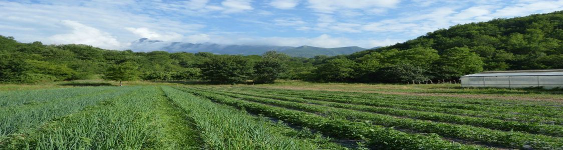 Societ&agrave; agricola L'Isola