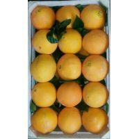 img-20170111-wa0021 mod