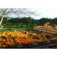 img-20170210-wa0024 mod