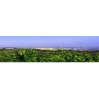 20160406_181826_richtonehdr copy