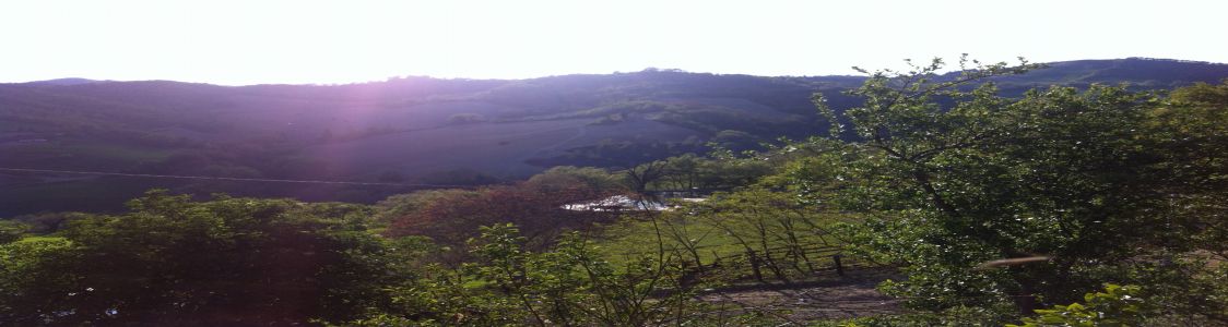 Soc. agr. Cal Bianchino S.S. di Minnetti L. e Comandini C.