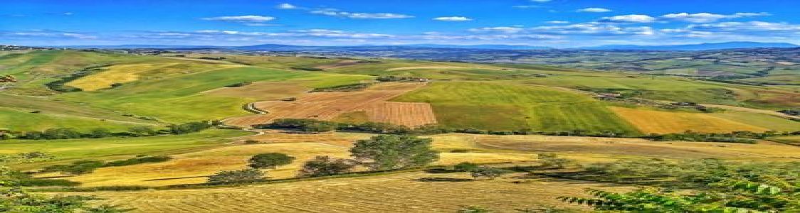 Azienda Agricola Biologica Zullo