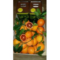 26166911_1350541898389120_5806771110063670820_n