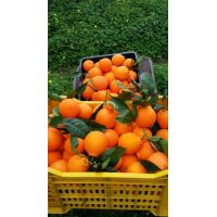 27067295_1371407026302607_3774611546267029964_n