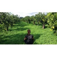 44862222_1691273080982665_3512523532837847040_n