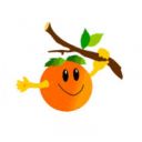 Azienda agricola Palermo Carmela