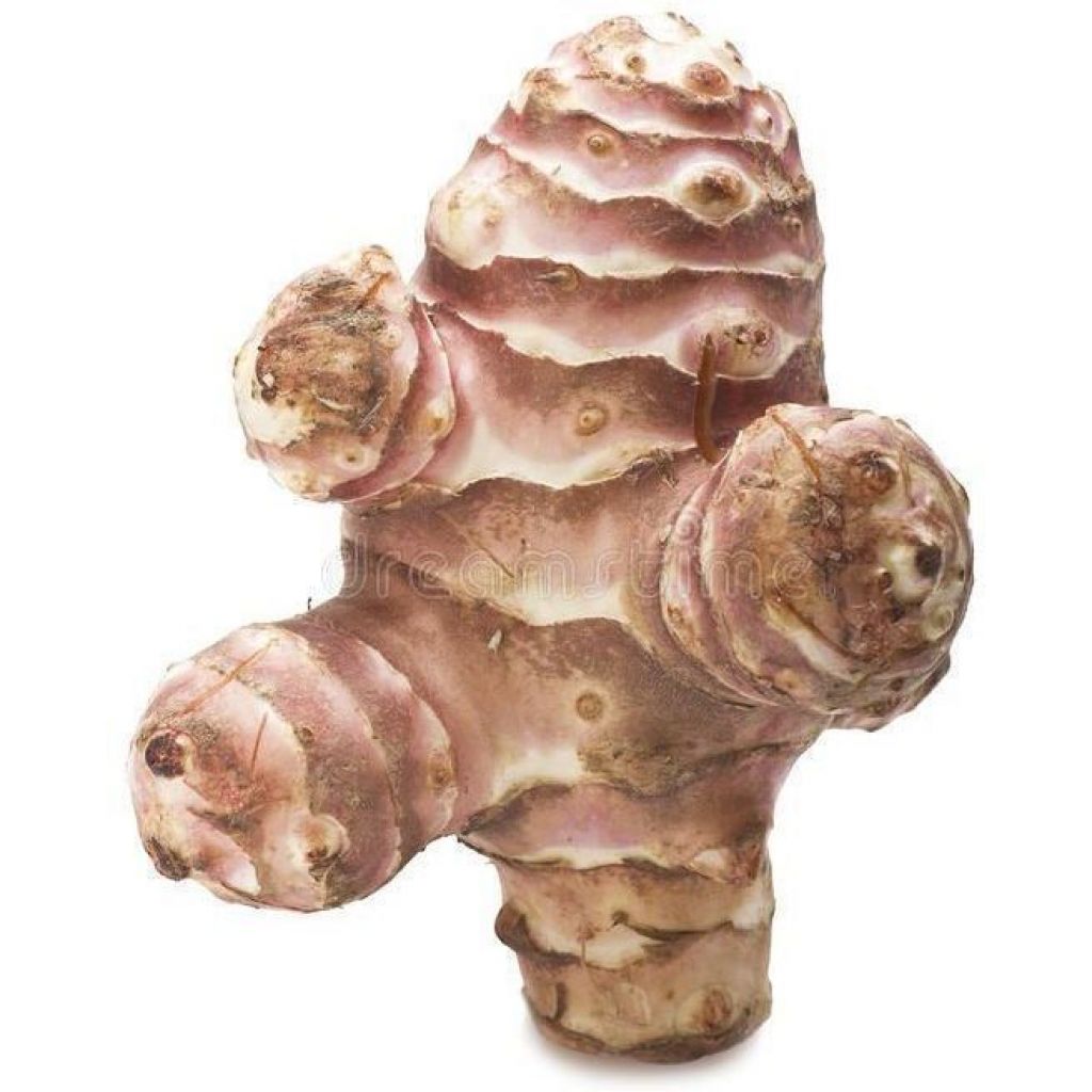 Topinambur in sacchetti 500g