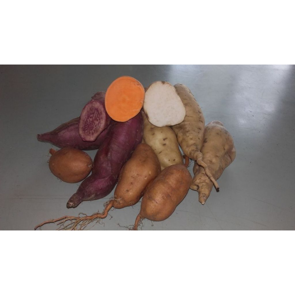 Batata (patata americana) sacchetto da1Kg