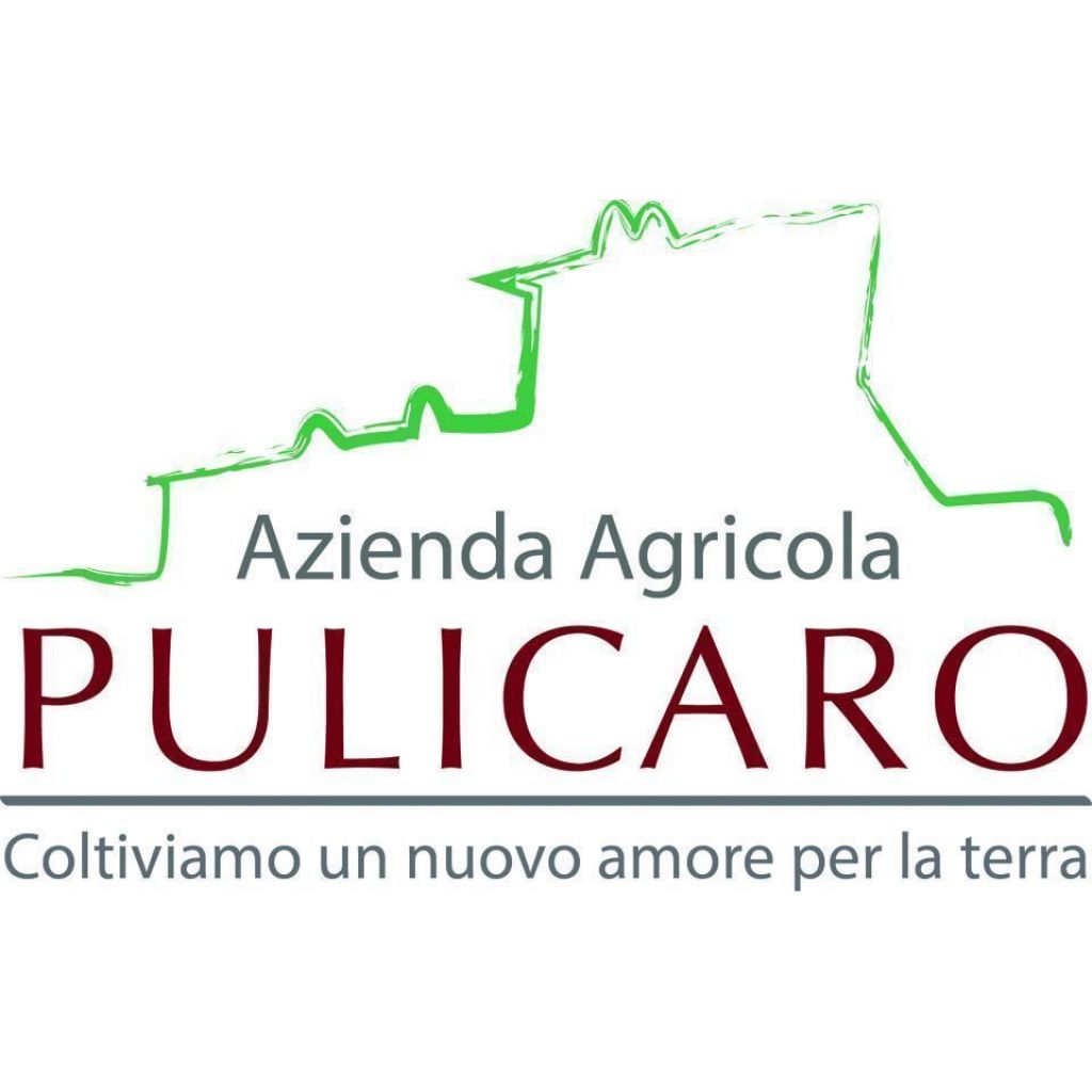 spezzatino di maiale