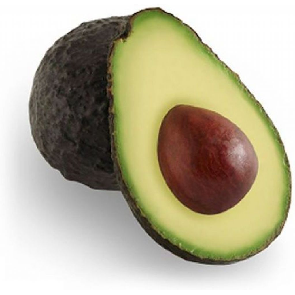Avocado variet&agrave; Hass
