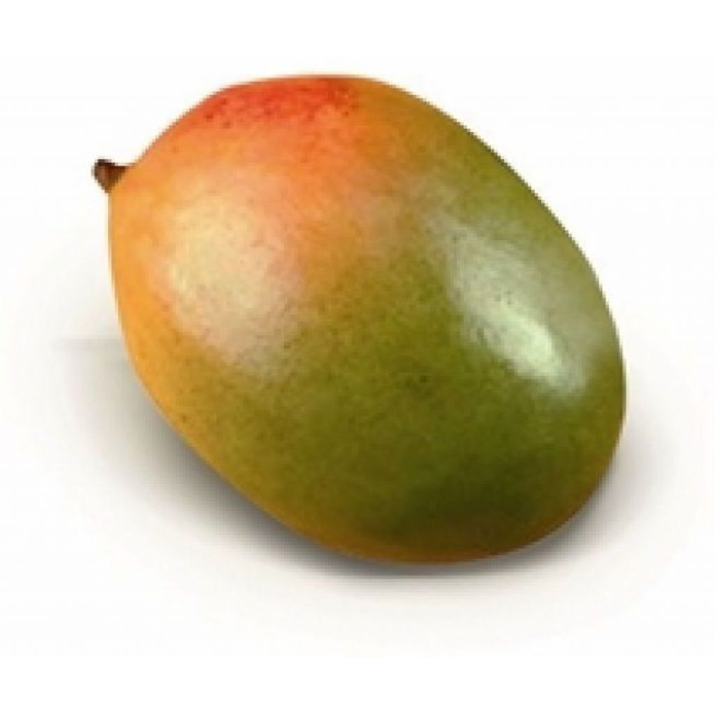 Mango variet&agrave; Keitt