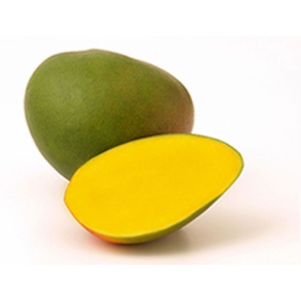 Mango variet&agrave; Kent