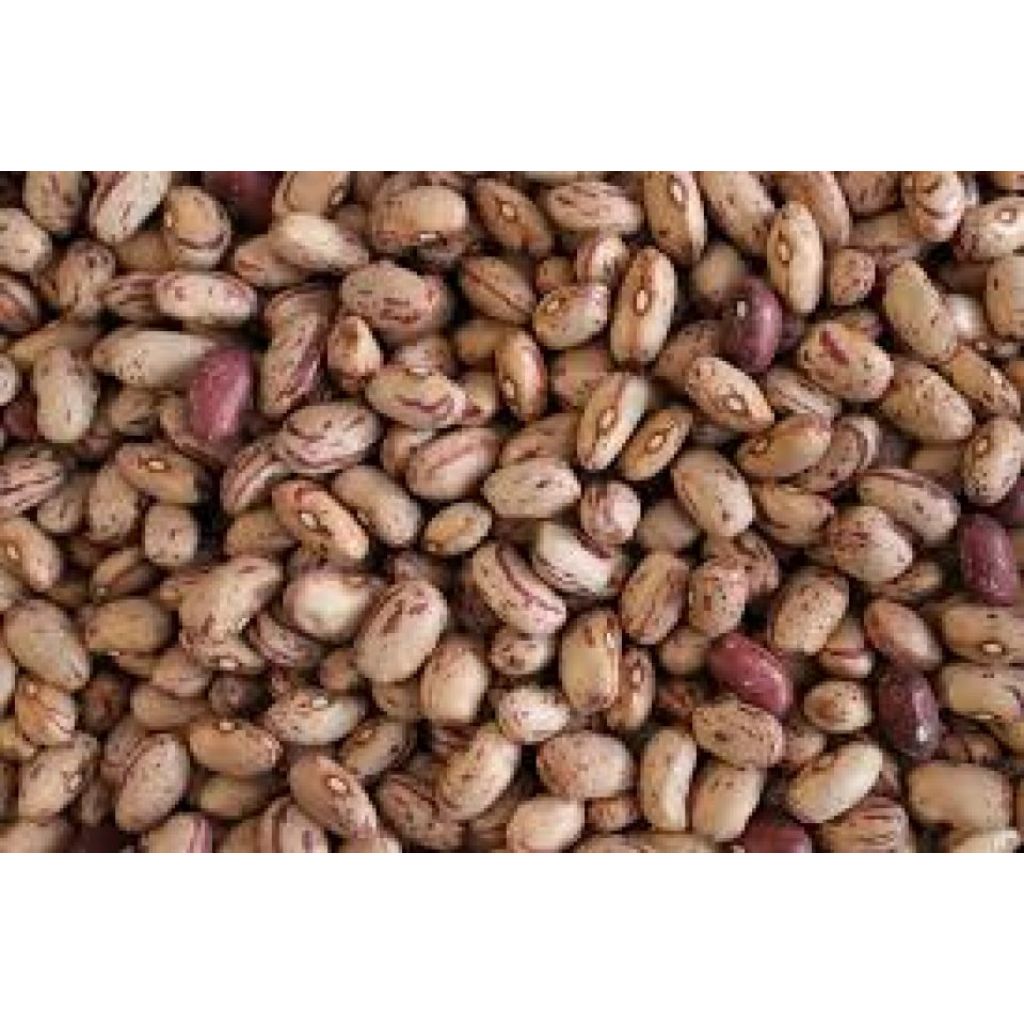 Fagioli borlotti secchi bio