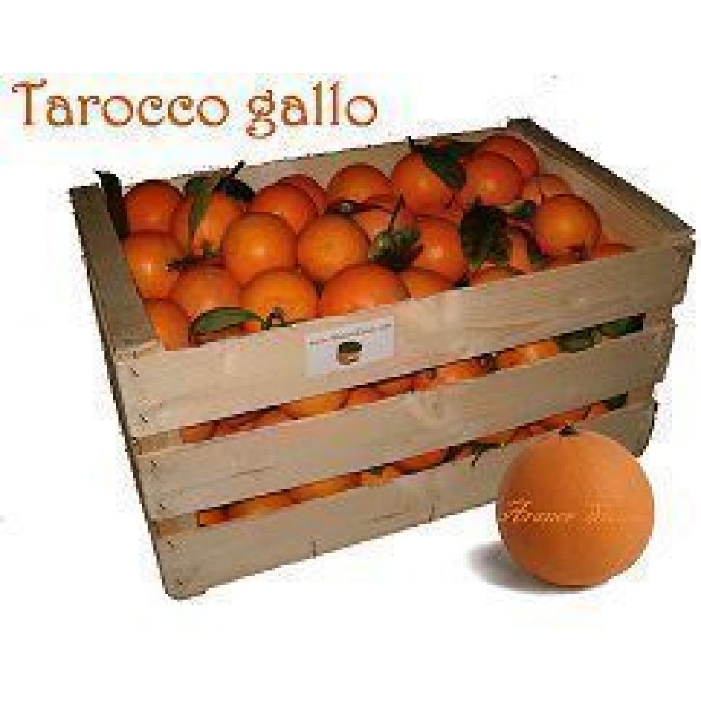 Tarocco Gallo 20Kg circa calibro piccolo SPEDIZIONE COMPRESA