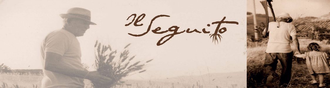 Il Seguito