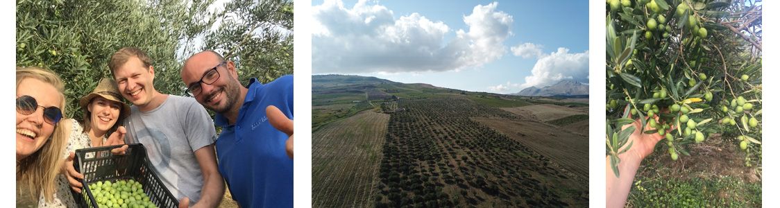 Azienda Agricola Giuseppe Sortino srls