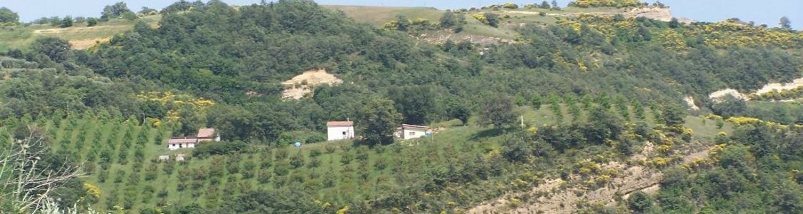 Azienda Agricola di Bulfaro Antonella