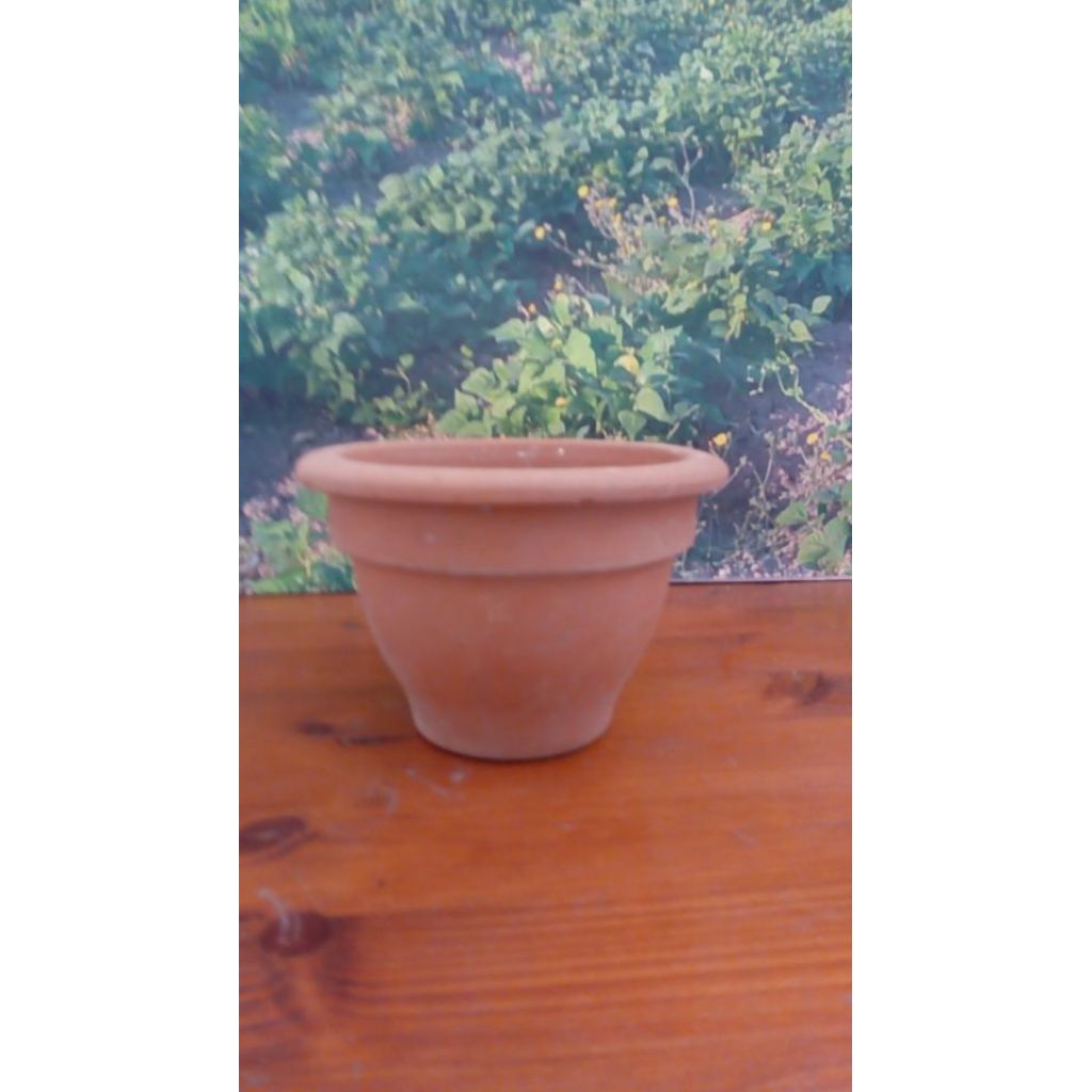 Vaso ciotola giglio 14 cm