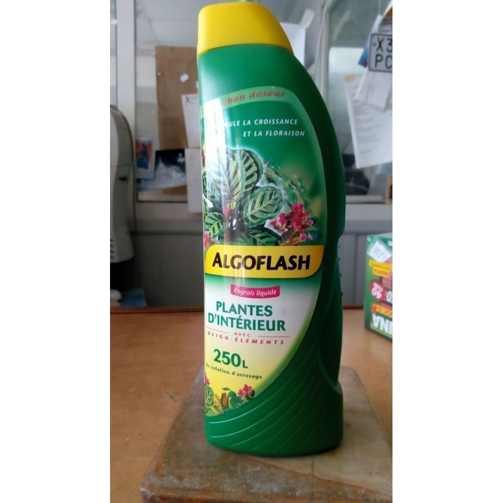 ALGOFLESC PIANTE VERDI