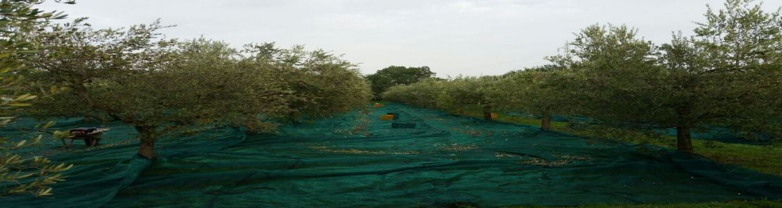 Az. Agr. Biologica Berloni Giuliano