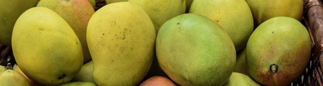 Azienda agricola Giuseppe Nania