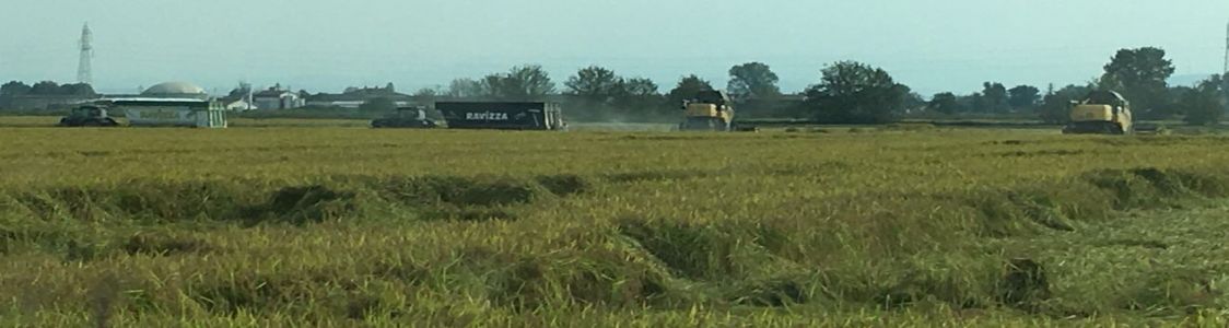 Azienda agricola Fedeli