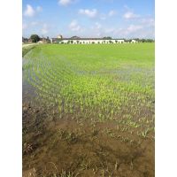 00b941d164864c018aa98ee24364d17e