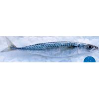 476059_321492114647277_1222867254_o