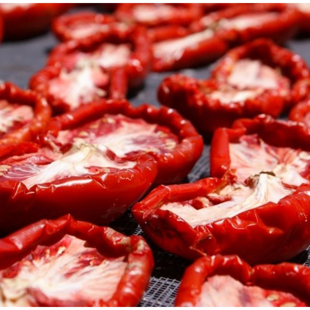 Crema di pomodori secchi in olio extravergine di oliva