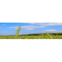 30623949_2317202958506480_7786290921804398592_n